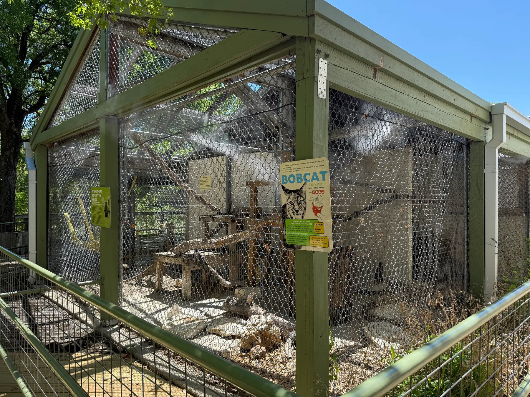 Animal enclosure misting system for a bobcat exhibit