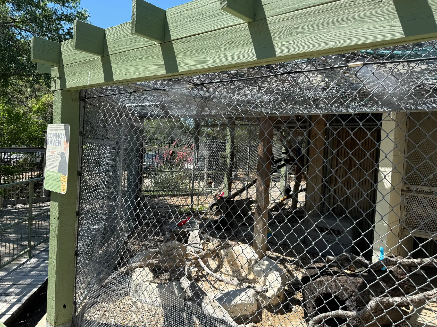 Aviary misting system in a raven enclosure